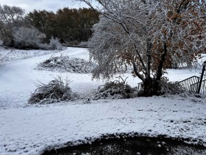 IMG_0227lowres.jpg